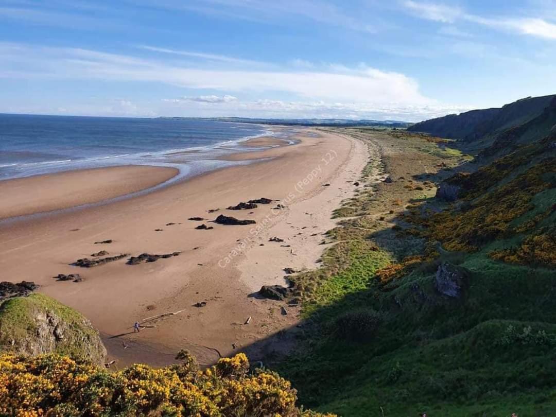 Wrights Retreat 4 Lunan View St Cyrus Caravan Park Saint Cyrus Esterno foto